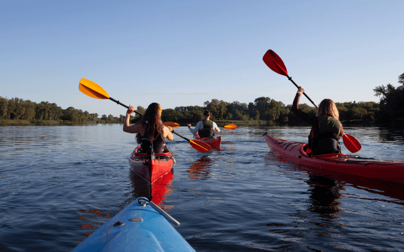 Kayak competition and disciplines history